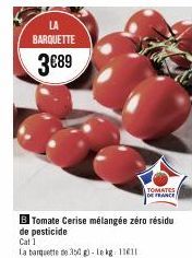 tomate cerise 