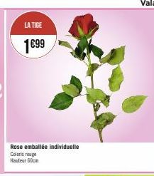 LA TIGE  1€99  Rose emballée individuelle Coloris rouge Hauteur 60cm 