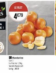 LE FILET  4€79  C Mandarine  Cal 1  Le filet de 1,5kg Variété Nadorcat  Le kg 3€19 