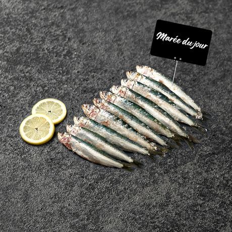 SARDINES