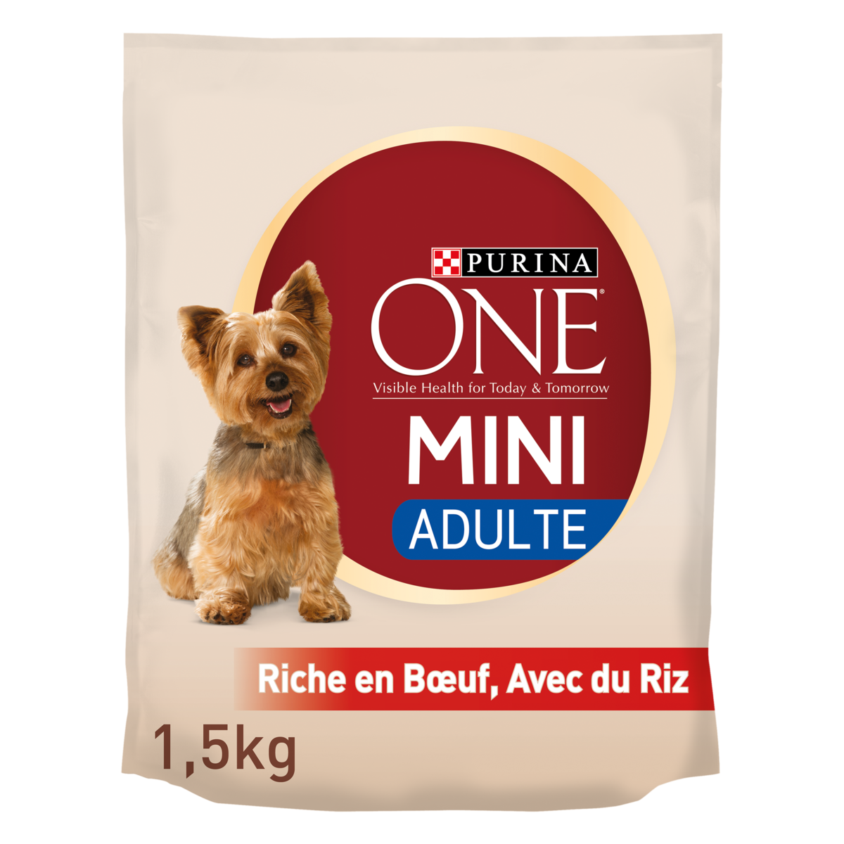 CROQUETTES POUR CHIEN MINI ADULTE PURINA ONE