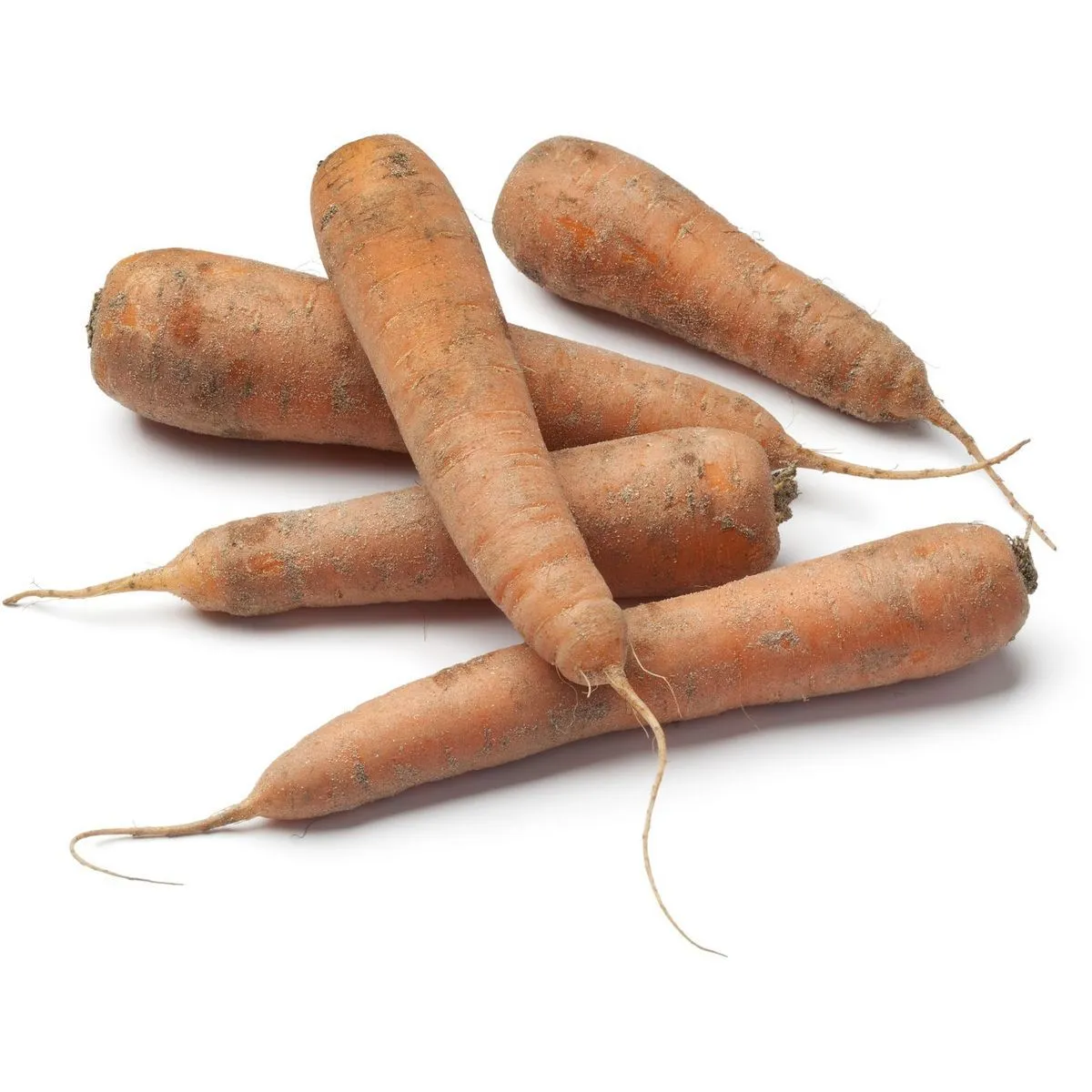  carottes des sables  filière auchan  "cultivons le bon"