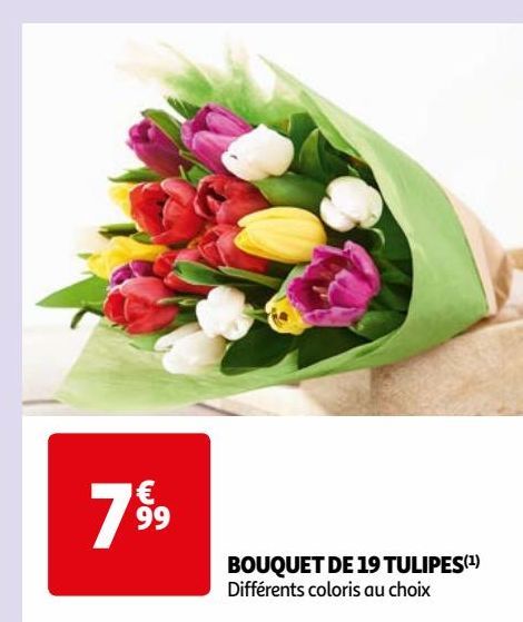 BOUQUET DE 19 TULIPES