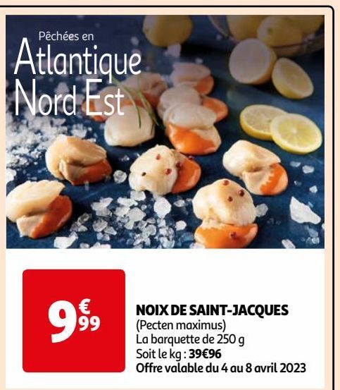  NOIX DE SAINT-JACQUES