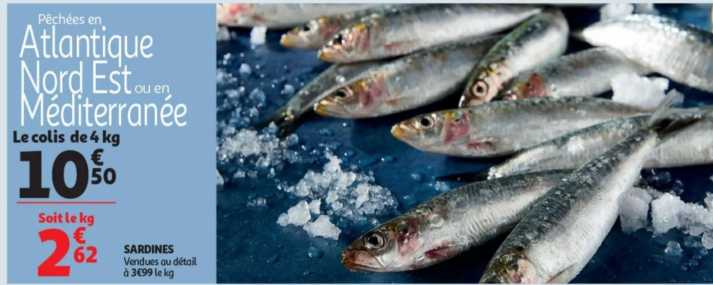 sardines le colis de 4 kg