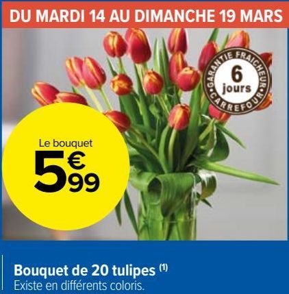 Bouquet de 20 tulipes 