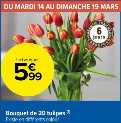 bouquet de 20 tulipes 