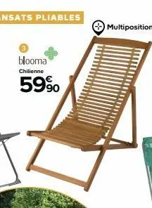 blooma  chilienne  59%  multiposition 