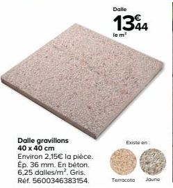 Dalle gravillons 40 x 40 cm  Environ 2,15€ la pièce. Ép. 36 mm. En béton. 6,25 dalles/m². Gris. Réf. 5600346383154.  Dalle  134  le m²  Existe on  Terracota Jaune 