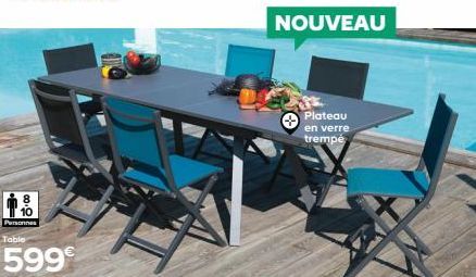 Personnes  Table  599€  NOUVEAU  Plateau en verre  trempé 