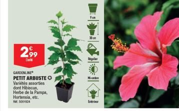 2,99  GARDENLINE PETIT ARBUSTE O  Variétés assorties  dont Hibiscus, Herbe de la Pampa, Hortensia, etc.  er, 5001524  9cm  30cm  Regal  M  Extérieur 