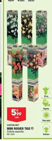 599  gardenline  mini rosier tige o  coloris assortis.  m3354  55 cm  regler  plein soll  exteri 