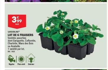 3 99  GARDENLINE  LOT DE 6 FRAISIERS Variétés assorties  dont Gariguette, Coflorette, Charlotte, Mara des Bois  ou Anabelle.  1 variété par lot.  Pet 1400  Regulier Plein sale Exteri 