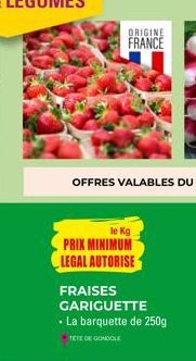 fraises legal