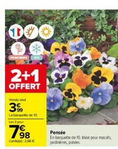 100  PRINTEMPS  2+1  OFFERT  Vendu seul  39  La barquette de 10  Les 3 pour  7⁹8  98  Lunit): 2,66 €  Pensée  En barquette de 10. Idéal pour massifs, jardinières, potées. 