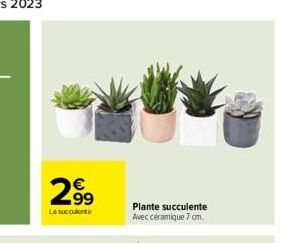 €  2.99  La succulente  Plante succulente  Avec céramique 7 cm. 
