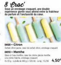 04520- Citron  Satat chonjare, ca de sarbat con, enc  04910. Menthe à math, cour dia che, oggi 8x55-4435201054,50€ 