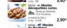 moules 