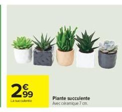2.99  €  La succulente  Plante succulente Avec céramique 7 cm. 