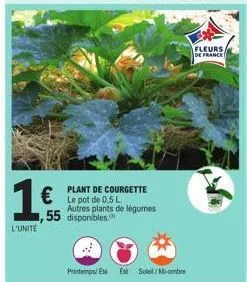1€  l'unite  plant de courgette le pot de 0.5 l autres plants de légumes  ,55 disponibles.  printemps eté ee soleil/m-ombre  fleurs de france 