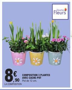 8€  € COMPOSITION 3 PLANTES  LA COMPOSITION  AVEC CACHE-POT  ,90 Pot de 12 cm.  Quarter  Fleurs 