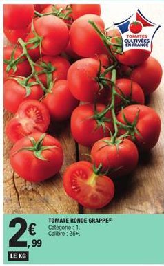 tomates 