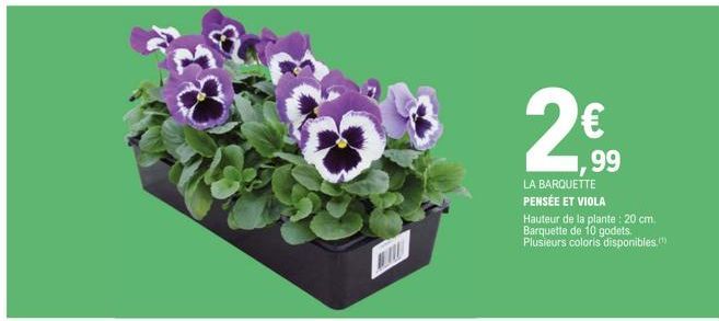 FLA  2€  ,99  LA BARQUETTE PENSÉE ET VIOLA Hauteur de la plante: 20 cm. Barquette de 10 godets. Plusieurs coloris disponibles." 