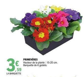 PRIMEVÈRES  € Hauteur de la plante: 15-20 cm.  Barquette 6  3€  59  LA BARQUETTE  