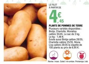 pommes de terre 