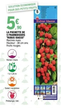 fruits 3m