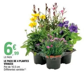6  ,99  le pack  le pack de 4 plantes vivaces  pot de 10,5 cm différentes variétés(¹) 