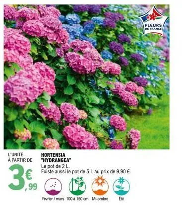l'unité a partir de  ,99  hortensia "hydrangea" le pot de 2 l.  existe aussi le pot de 5 l au prix de 9,90 €.  février/mars 100 à 150 cm mi-ombre été  fleurs  de france 
