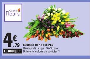 Quartier)  Fleurs  4€  ,79  LE BOUQUET  BOUQUET DE 15 TULIPES Hauteur de la tige: 32-35 cm Différents coloris disponibles 