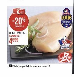 filets de poulet 