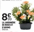 99  LA JARDINIÈRE DE ROSES ET D'ARUMS 37x23 cm. 