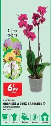 12 m  autres coloris  69⁹9  lat  gardenline orchidée à deux branches coloris assortis.  rr. 8055  50 cm regler mi-ombre letter 
