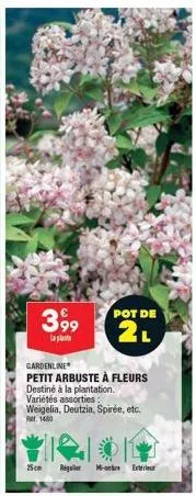 3,99  la  pot de  2l  gardenline  petit arbuste à fleurs destiné à la plantation. variétés assorties: weigelia, deutzia, spirée, etc. at 1480  25cm  regler - extr 