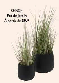 SENSE  Pot de jardin À partir de 39.⁹ 