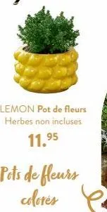 lemon pot de fleurs herbes non incluses  11.95  pots de fleurs colores 