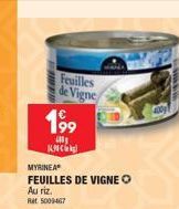 Feuilles de Vigne  199  KMCG  MYRINEA® FEUILLES DE VIGNE O  Au riz.  Rat 5009467 