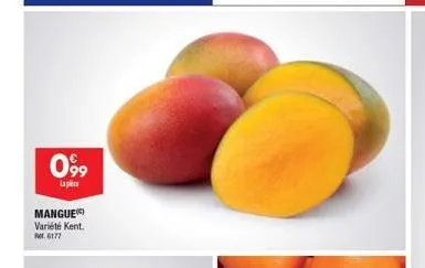 099  lap  mangue) variété kent.  pm, 6177 