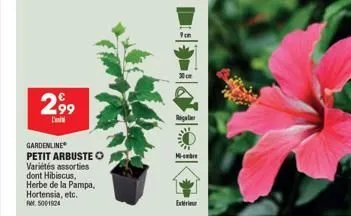 2,99  gardenline petit arbuste o  variétés assorties  dont hibiscus, herbe de la pampa, hortensia, etc.  er, 5001524  9cm  30cm  regal  m  extérieur 