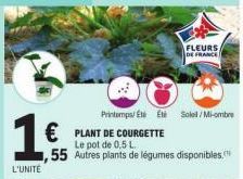 1  L'UNITE  FLEURS DE FRANCE  Printemps Eté Et Soleil/Mi-ombre  € PLANT DE COURGETTE  Le pot de 0,5 L  ,55 Autres plants de légumes disponibles. 