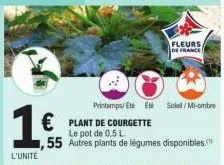 1  l'unite  fleurs de france  printemps eté et soleil/mi-ombre  € plant de courgette  le pot de 0,5 l  ,55 autres plants de légumes disponibles. 