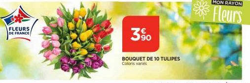 FLEURS  DE FRANCE  3%  390  BOUQUET DE 10 TULIPES Coloris variés  MON RAYON  Fleurs 