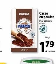 cacao en poudre 