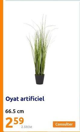 Oyat artificiel  66.5 cm  259  2.59/st 