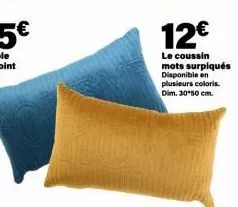 12€  le coussin mots surpiqués disponible en plusieurs coloris.  dim. 30-50 cm. 