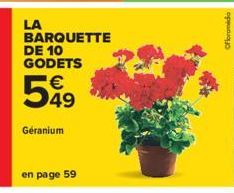 LA  BARQUETTE DE 10 GODETS  €  599  49  Géranium  en page 59  Ofloramida 