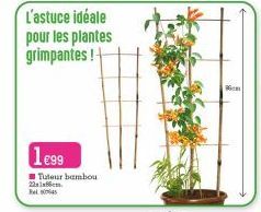 L'astuce idéale  pour les plantes grimpantes!+  1€99  Tuteur bambou 22. Rela  96m 